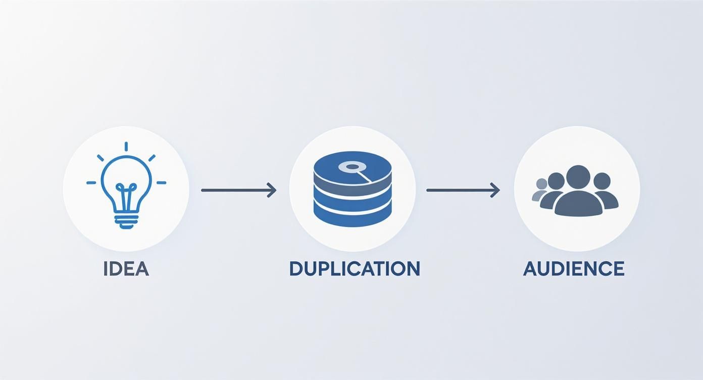 Infographic about cd duplication