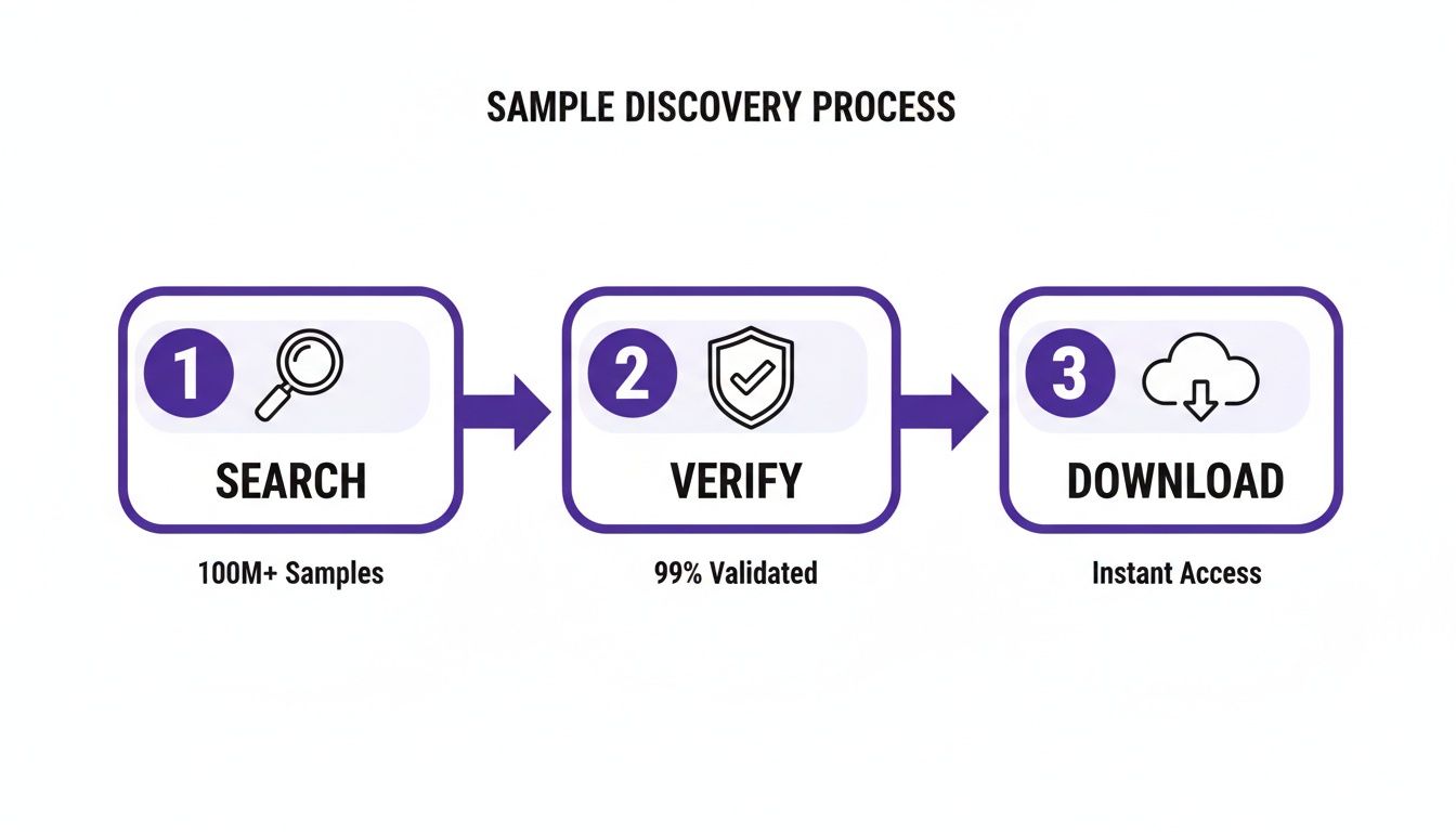 A three-step sample discovery process flowchart: Search, Verify, and Download with key statistics.