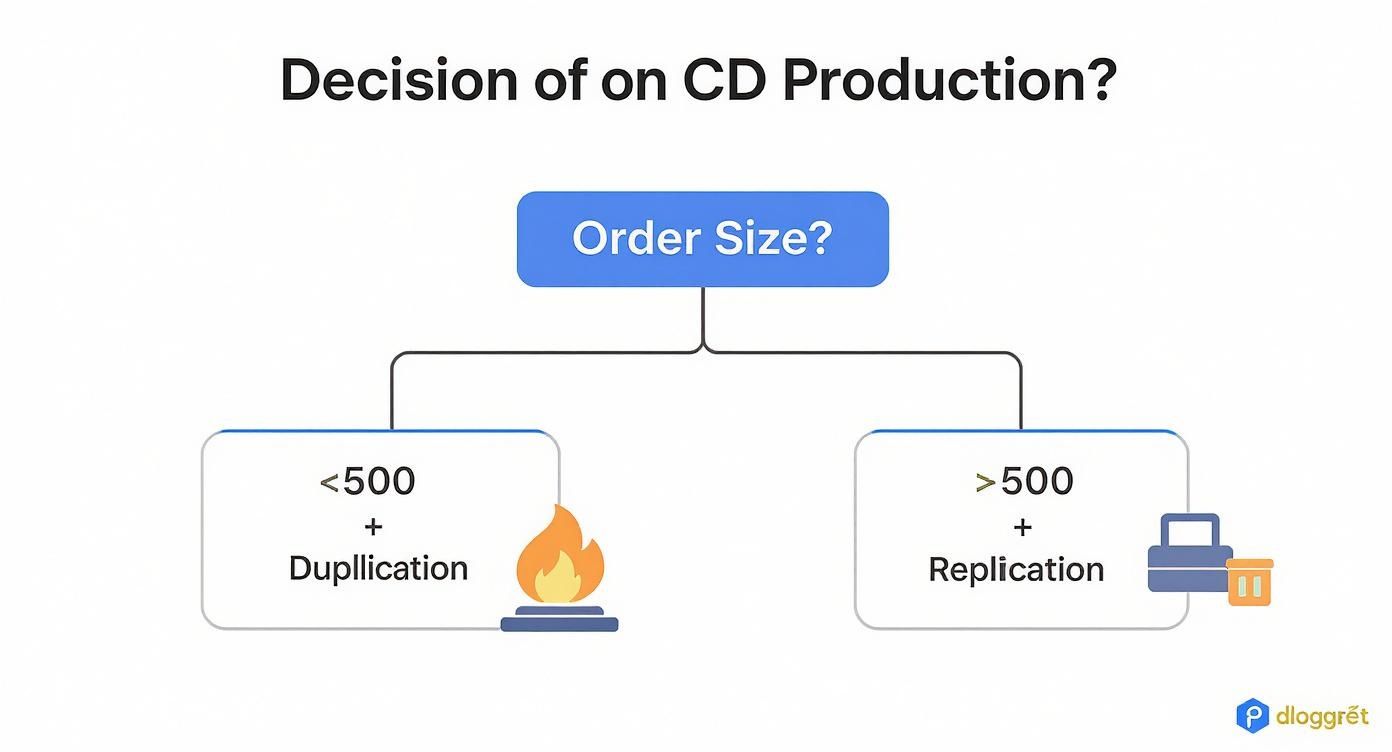 Infographic about cd production duplication