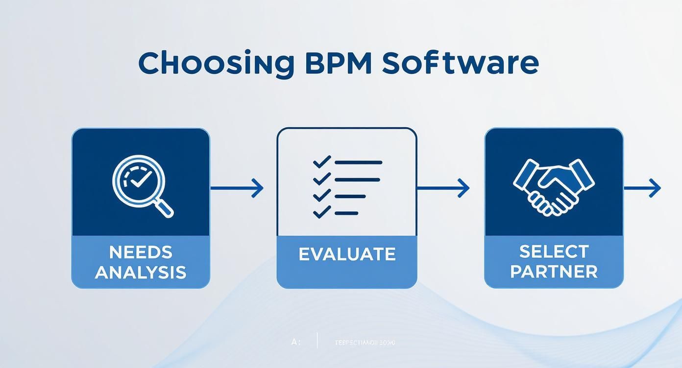 Infographic about business process management software