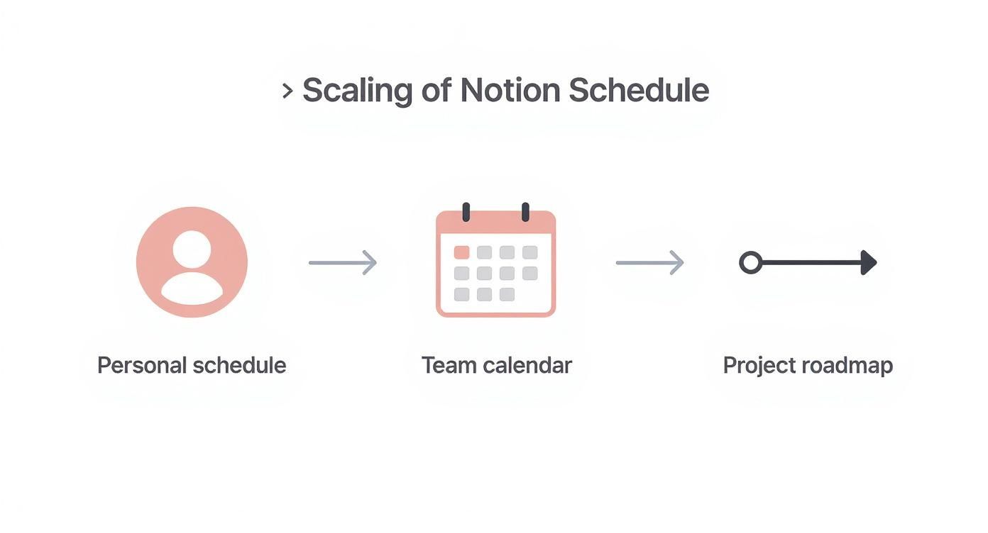 Infographic about notion schedule template