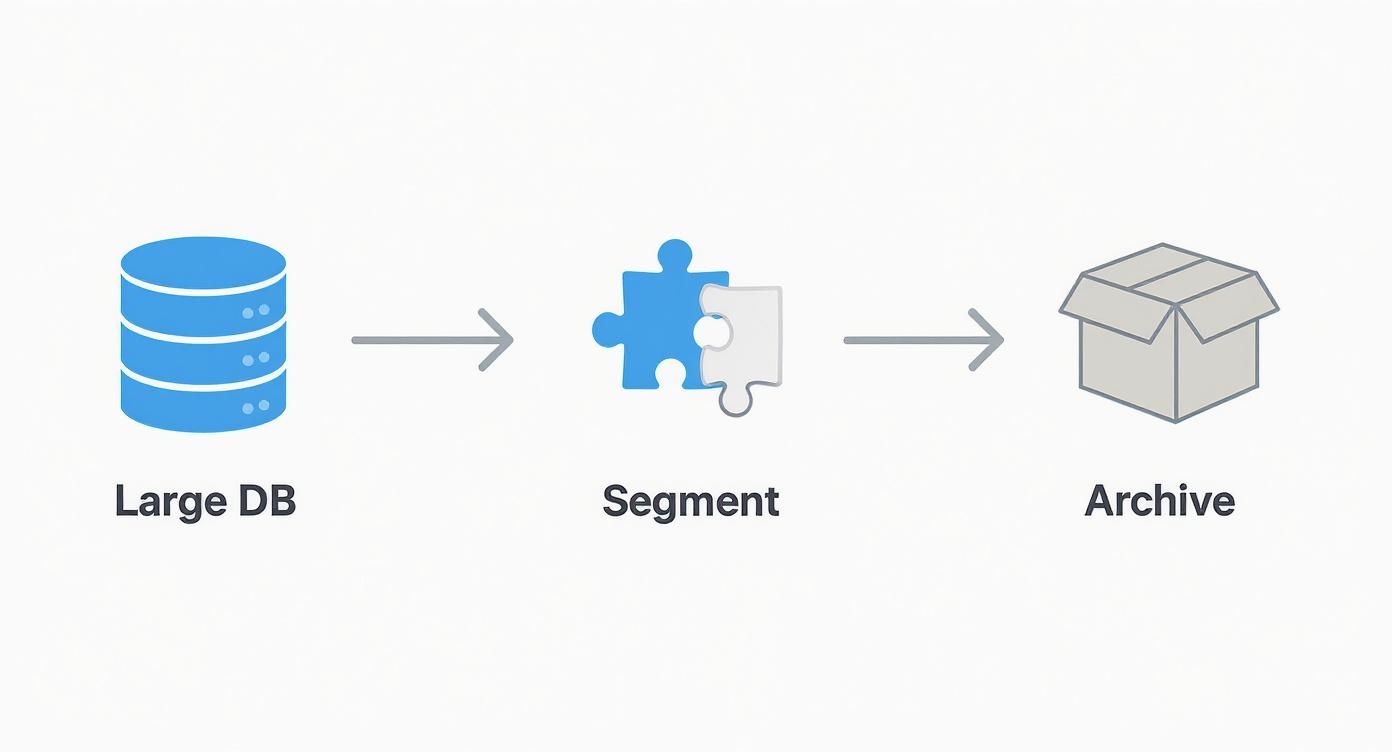 Diagram showing data flow from a large database, through a segmentation step, to an archive.