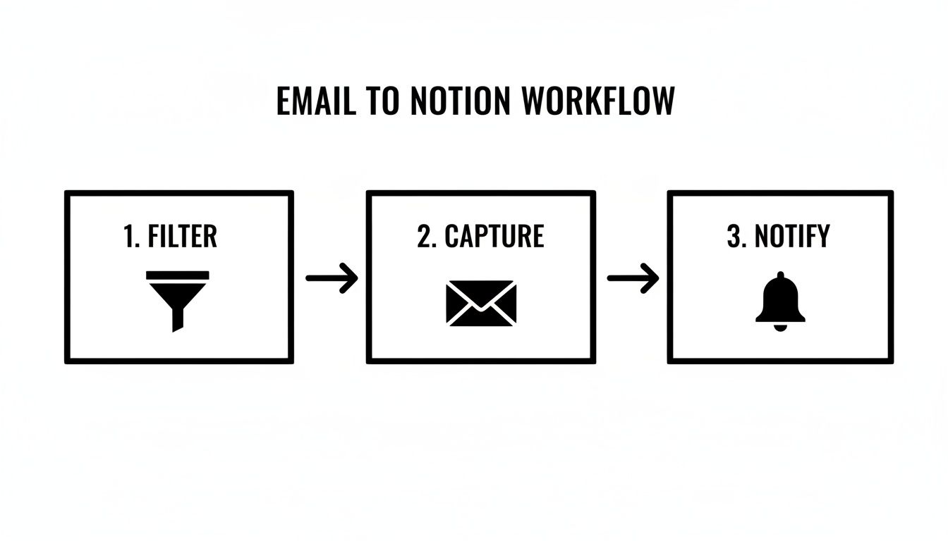 Infographic about notion template for project management