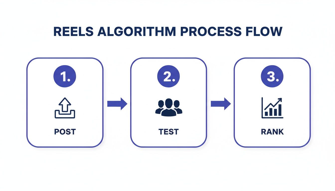 A process flow diagram illustrating the Instagram Reels algorithm steps: Post, Test, and Rank, with corresponding icons.
