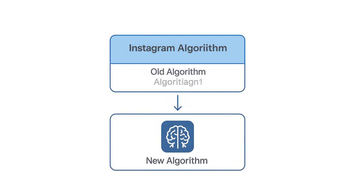 A diagram illustrates the transition from the old Instagram Algorithm to a new, updated algorithm with a brain icon.