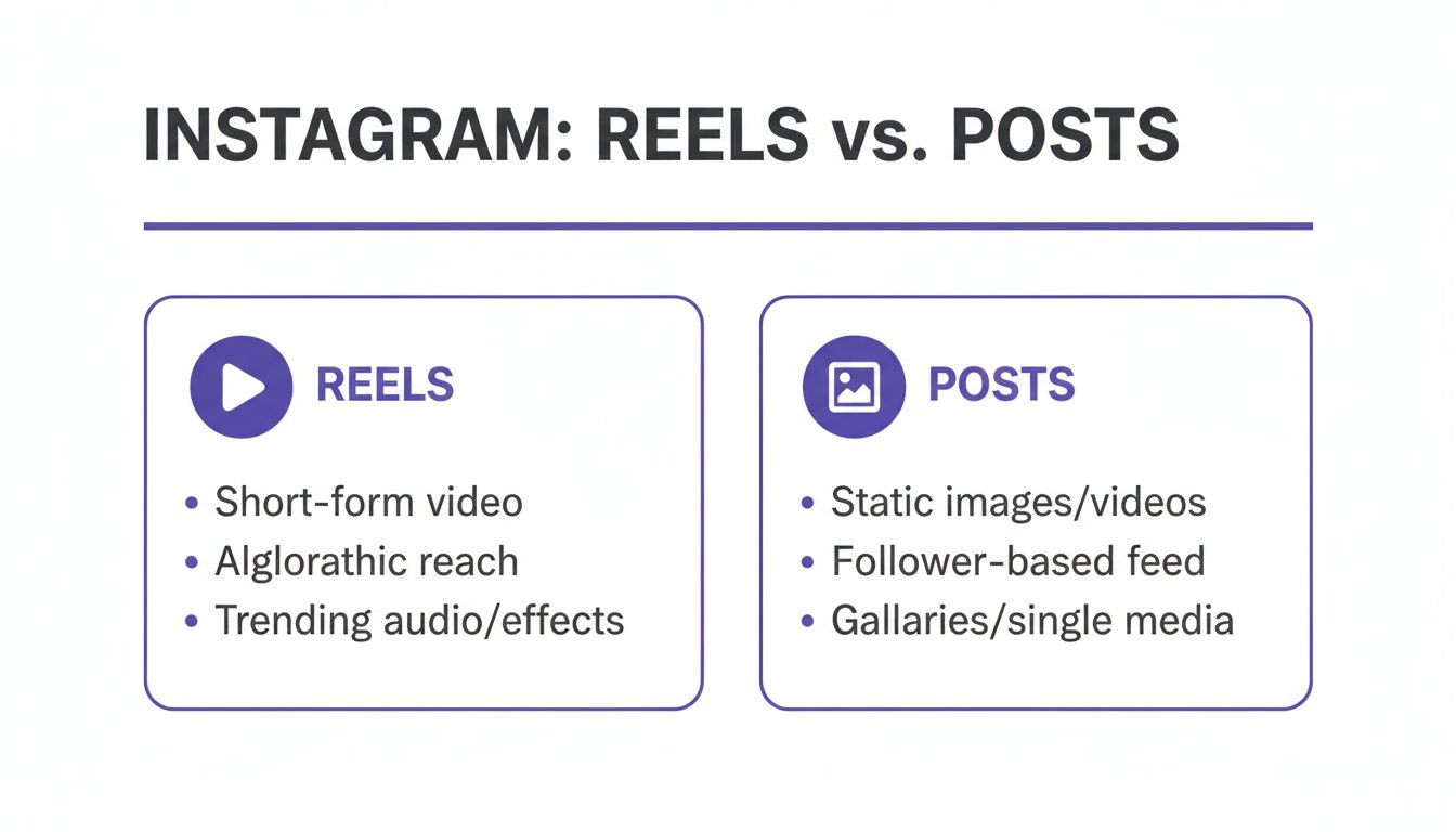 A comparison chart outlining key differences between Instagram Reels and Posts, detailing video formats, reach, and content types.