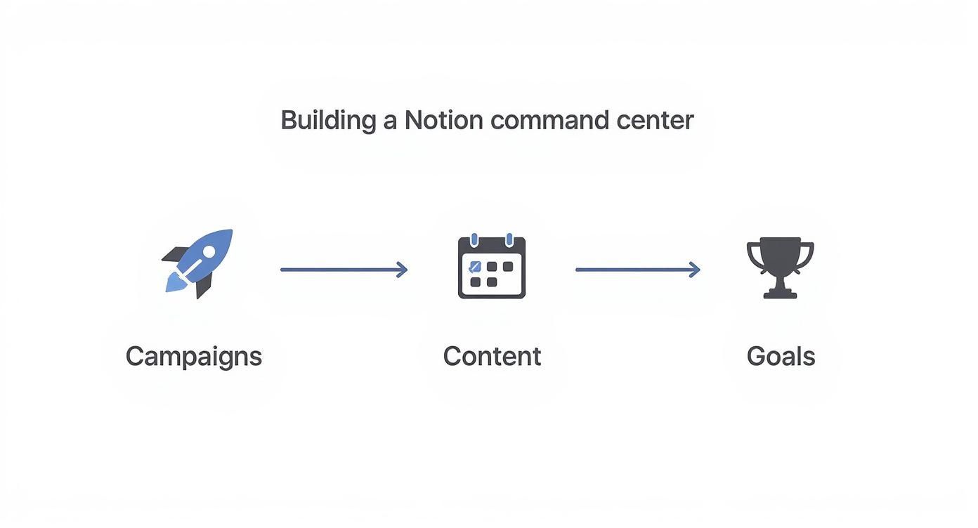 Infographic about marketing campaign tracking template