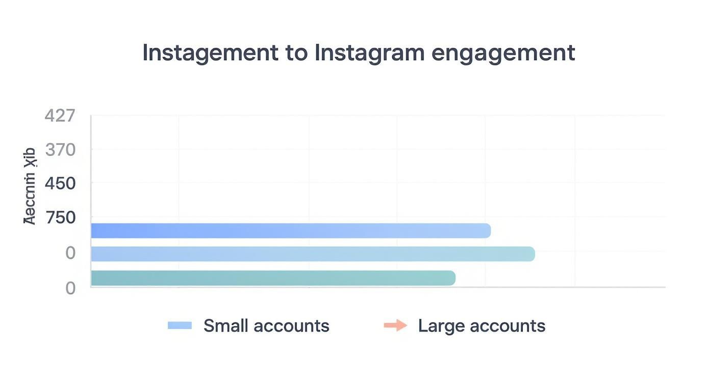 Horizontal bar chart comparing Instagram engagement levels for small and large accounts.