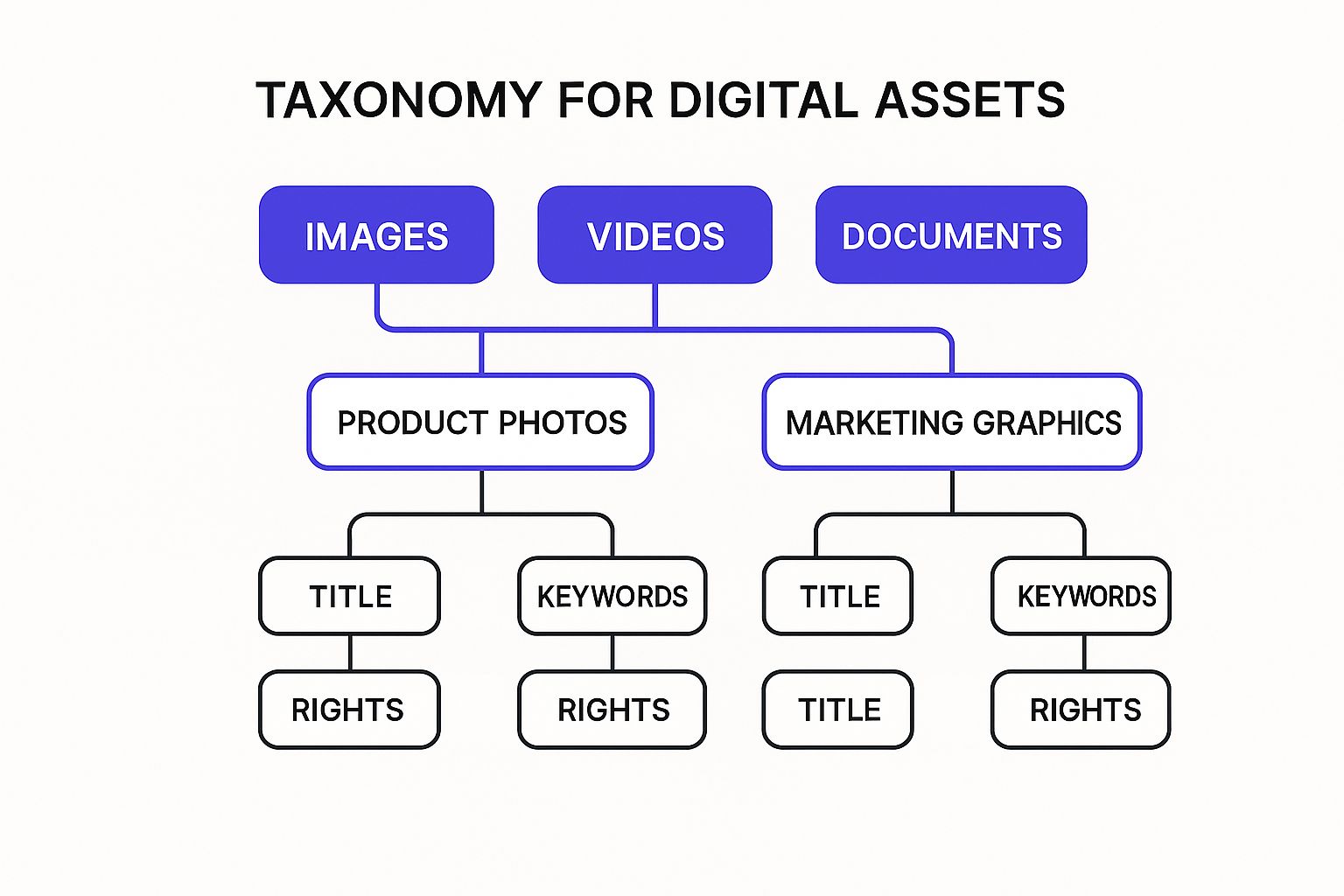 An infographic hierarchy diagram showing a standardized taxonomy for digital assets. The top level has three categories: Images, Videos, and Documents. Under Images, two subcategories branch out: Product Photos and Marketing Graphics. Common metadata fields like Title, Keywords, and Rights branch from the subcategories.
