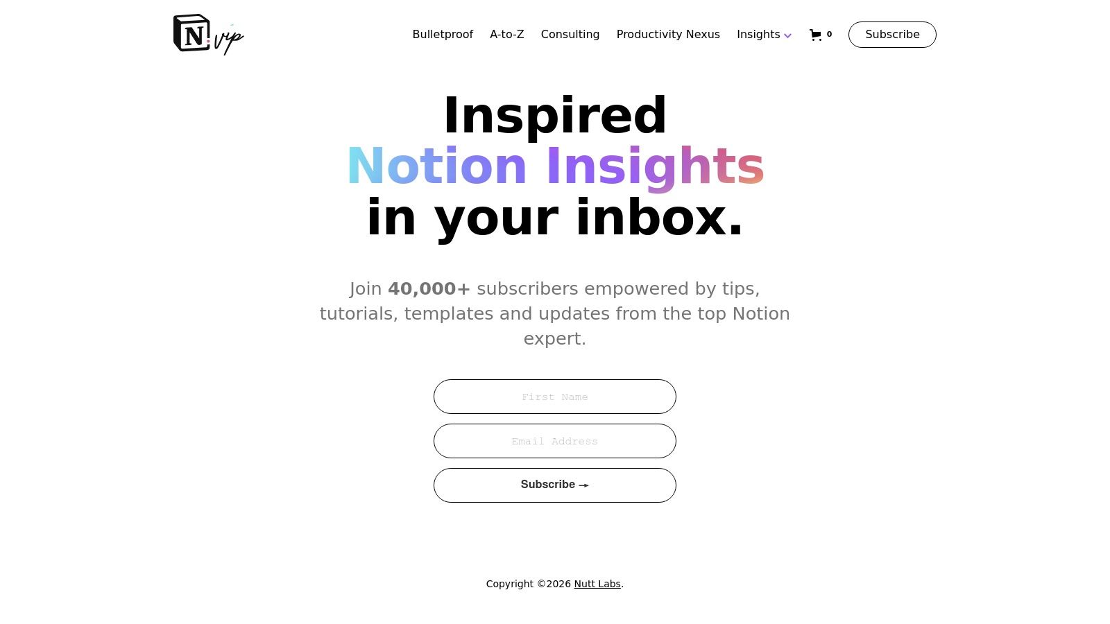 Notion VIP website screenshot showing a newsletter signup and guides