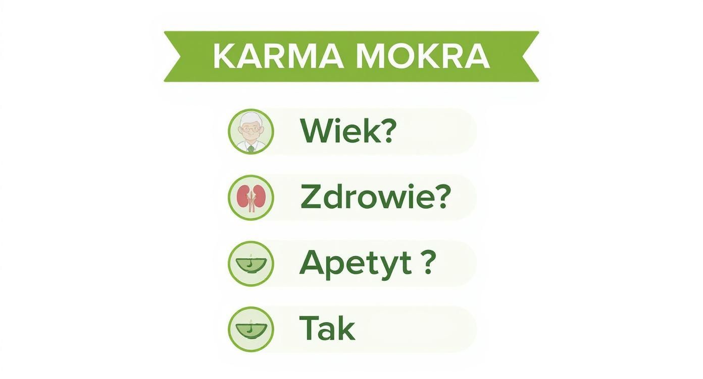 Infografika przedstawiająca drzewko decyzyjne dla wyboru karmy mokrej dla psa, uwzględniając wiek, zdrowie i apetyt.