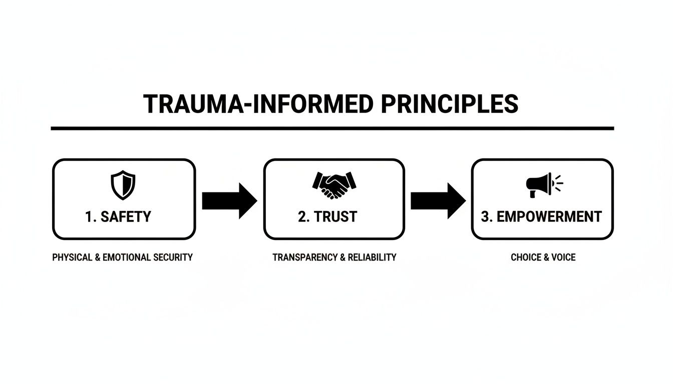 Diagram illustrating trauma-informed principles: safety, trust, and empowerment with descriptions.