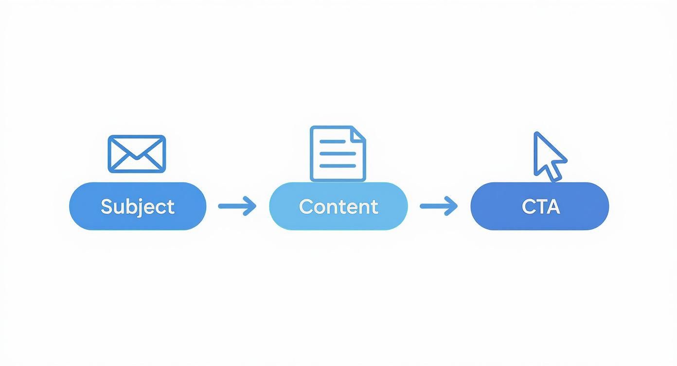 Flowchart illustrating the email marketing journey from subject line to content and call to action.