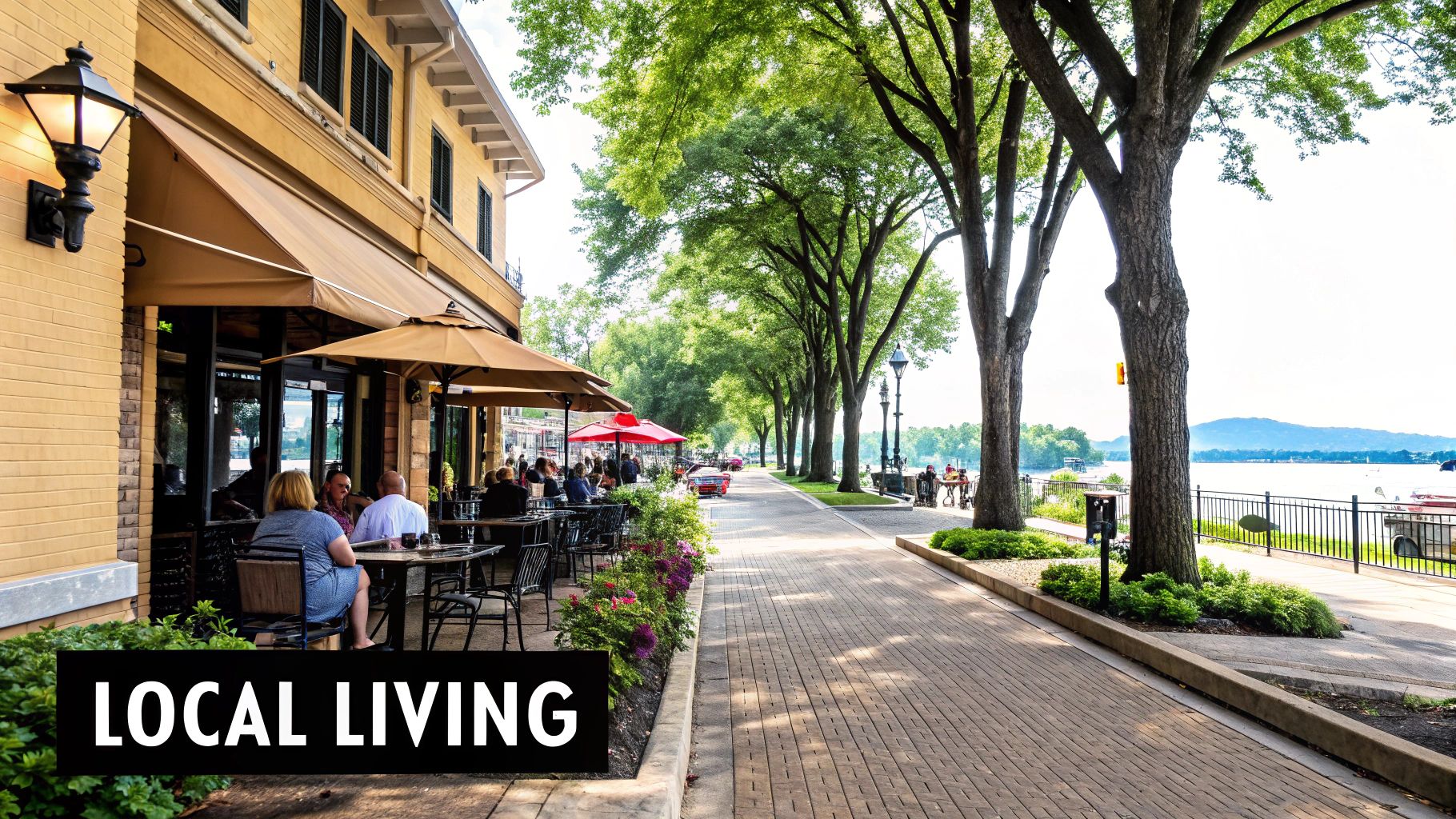 Neighborhood & Local Area Spotlights