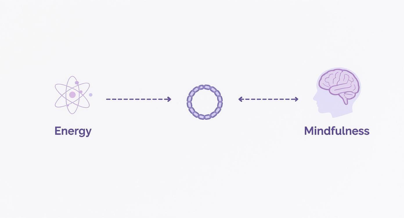 A diagram illustrating the connection between energy, a crystal bracelet, and mindfulness.