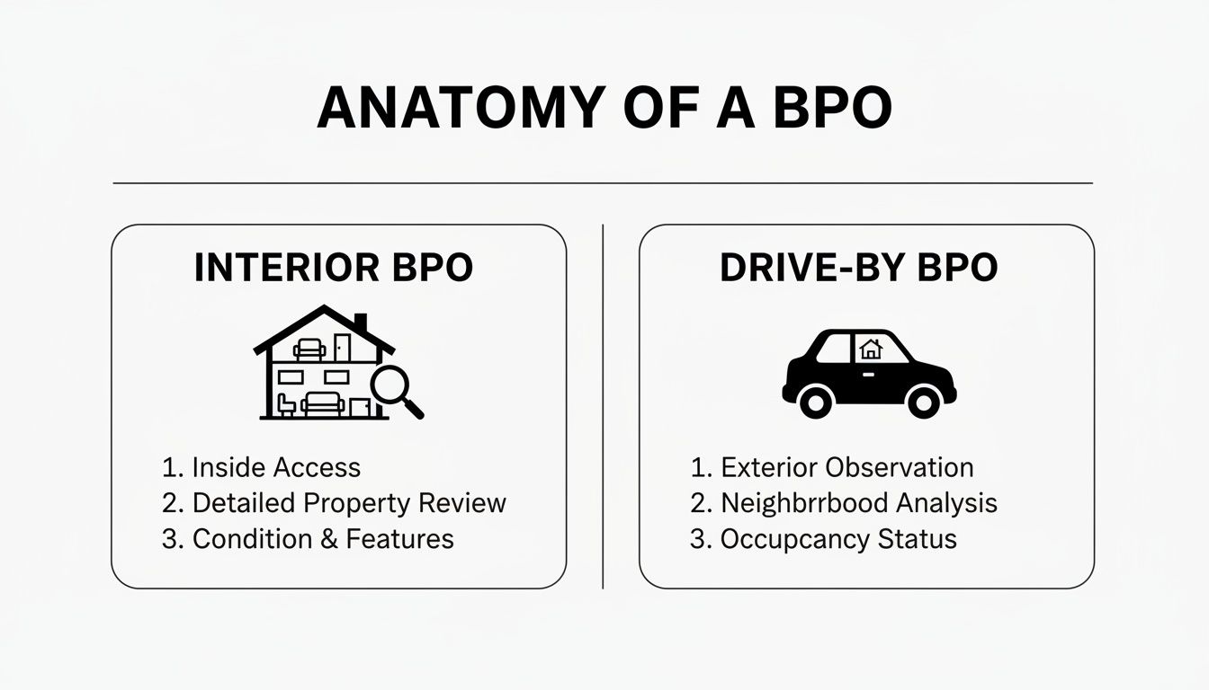 Infographic comparing Interior and Drive-By Broker Price Opinions (BPOs), detailing their key components and processes.
