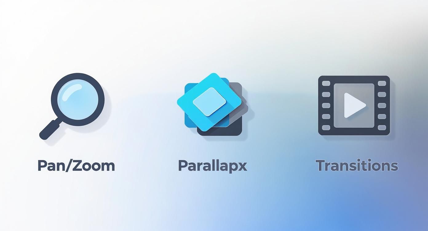 Icons representing video editing features: Pan/Zoom, Parallaxp, and Transitions, on a gradient background.