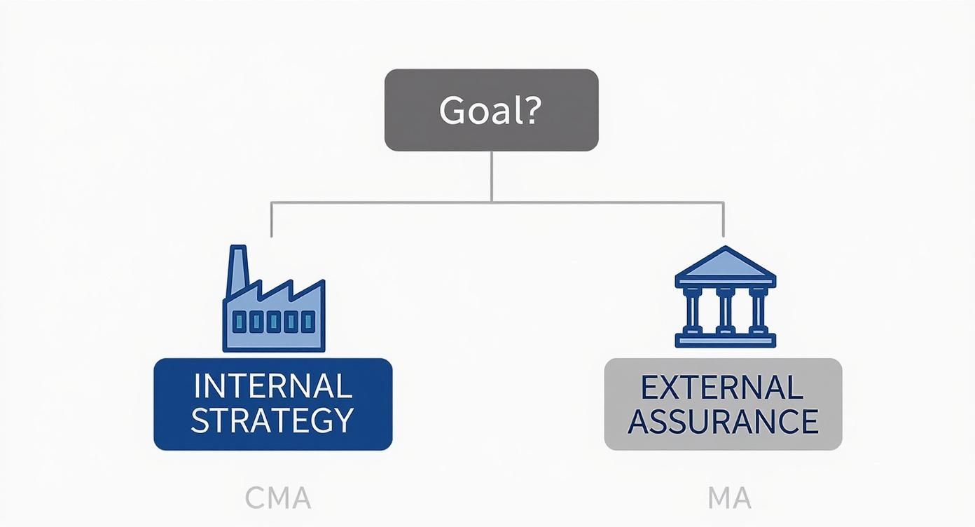 Infographic about cma vs ma