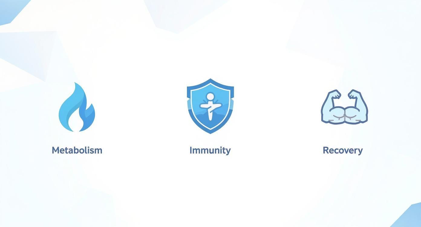 Three blue icons representing health benefits: metabolism (flame), immunity (shield), and recovery (muscles).