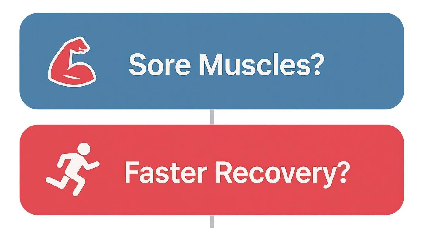 Two banners asking about sore muscles with a bicep icon and faster recovery with a runner icon.