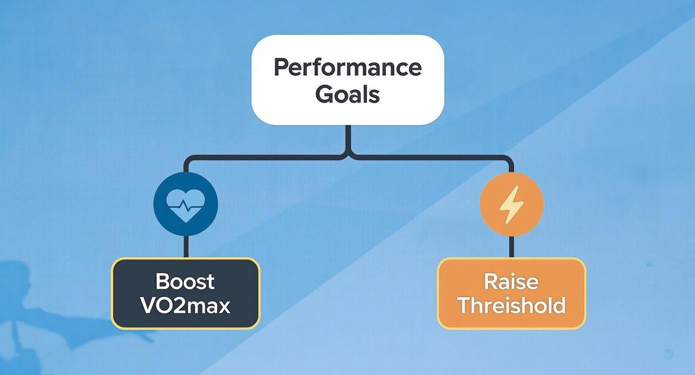 This decision tree infographic helps athletes choose a hyperbaric chamber by linking performance goals like endurance and power to specific outcomes like boosting VO2max.