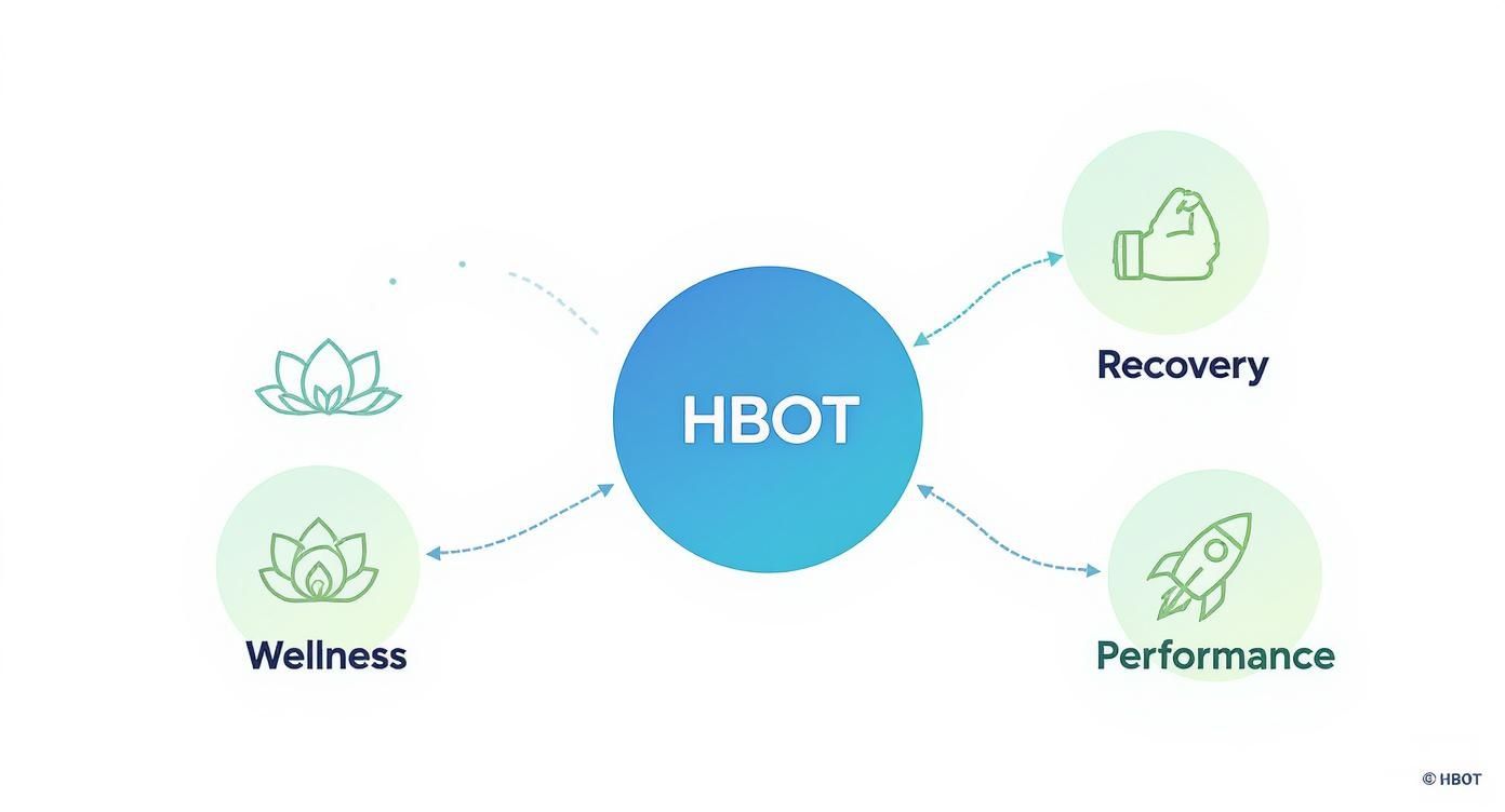 Infographic about best hyperbaric chamber for home use