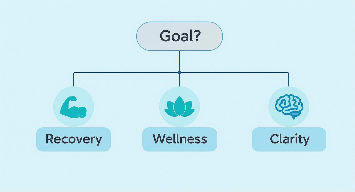 A flowchart showing 'Goal?' at the top, branching to Recovery (bicep), Wellness (lotus), and Clarity (brain).