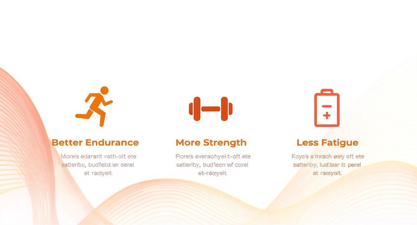 Three icons illustrating enhanced athletic performance: running for endurance, dumbbell for strength, and battery for less fatigue.