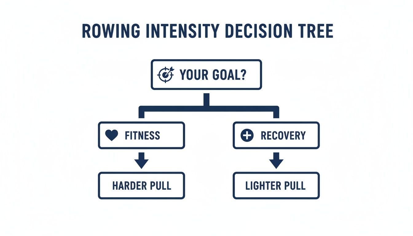 A rowing intensity decision tree showing how goal (fitness or recovery) determines pull (harder or lighter).