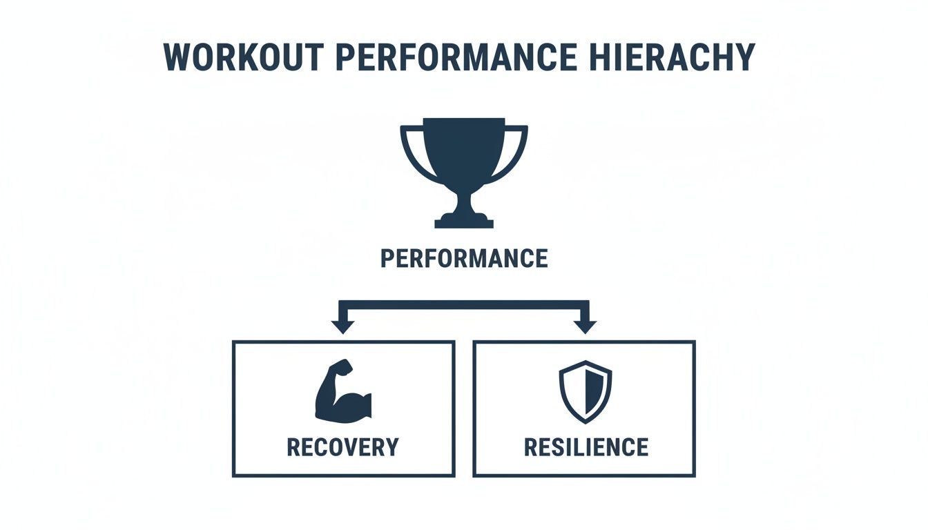 A workout performance hierarchy diagram showing performance at the top, supported by recovery and resilience.