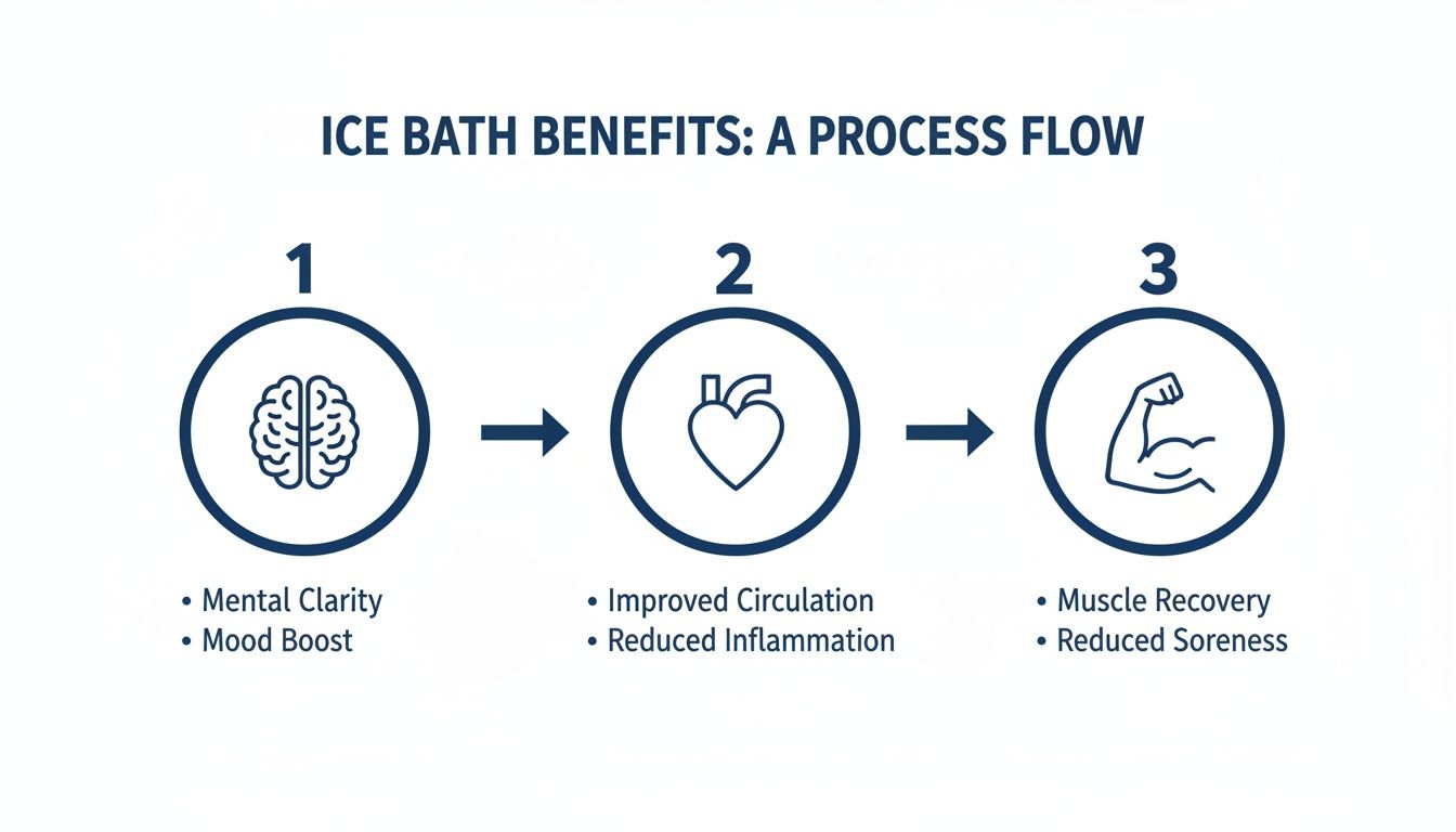 A process flow diagram illustrating ice bath benefits for mental clarity, circulation, and muscle recovery.