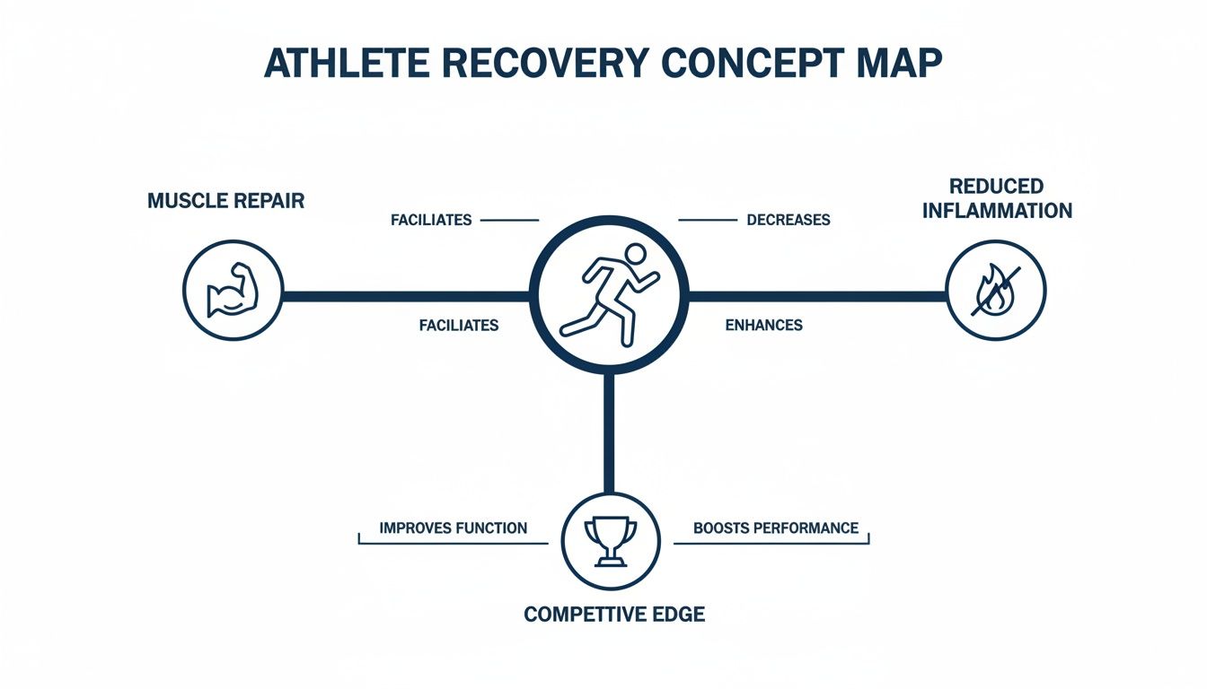 Concept map illustrating athlete recovery facilitates muscle repair, decreases inflammation, and boosts competitive edge.