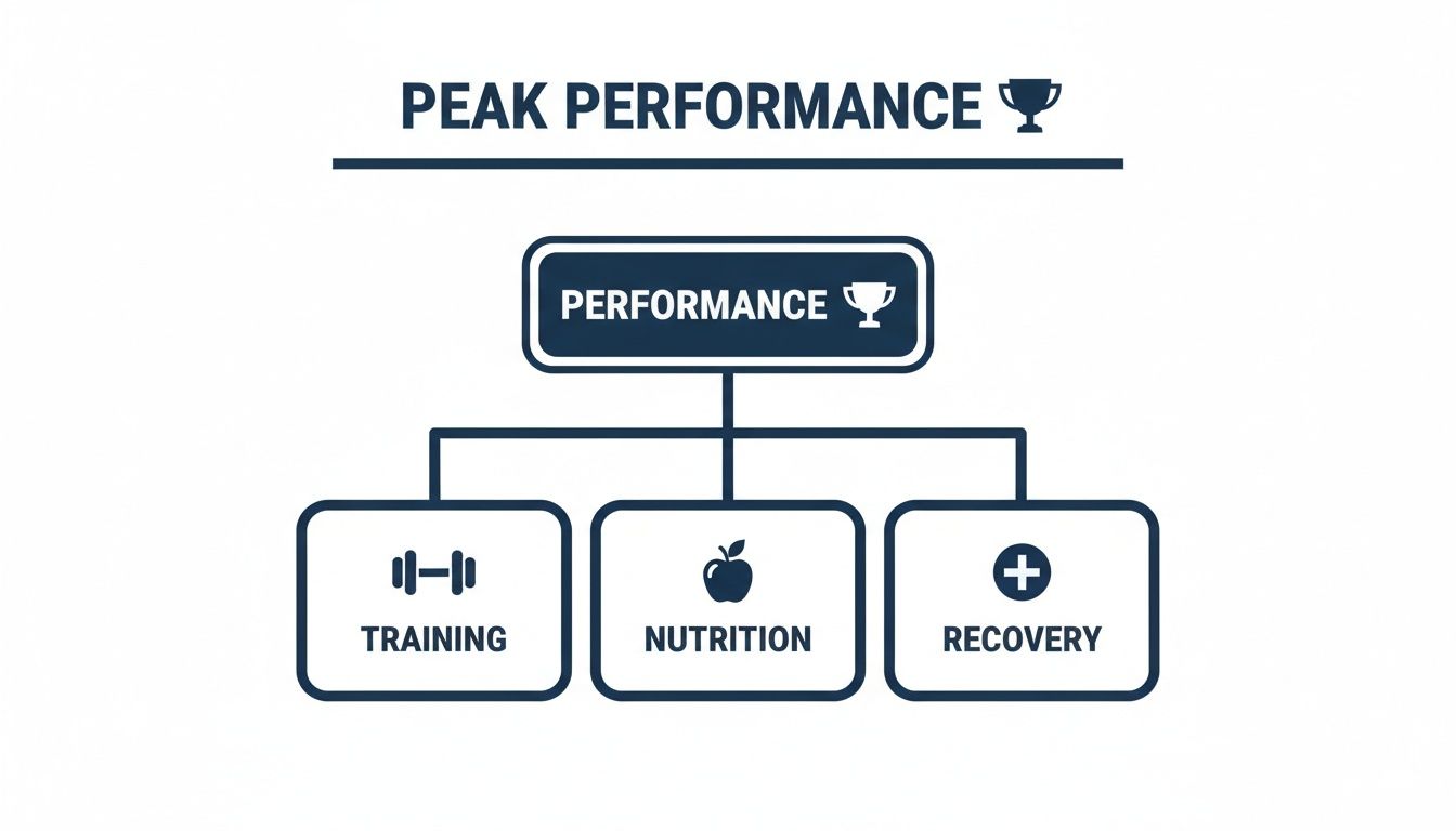 Diagram illustrating how peak performance is achieved through the pillars of training, nutrition, and recovery.