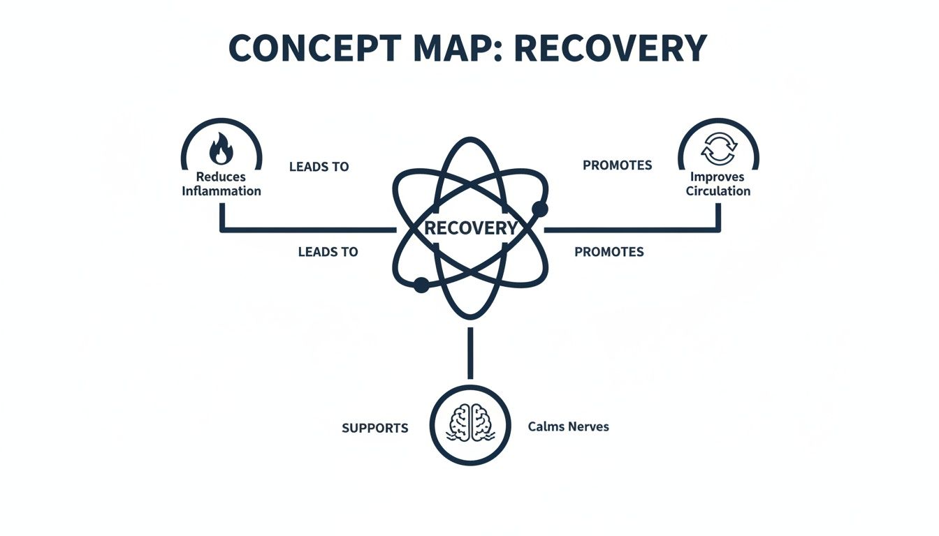 A concept map showing how recovery leads to reduced inflammation, improved circulation, and calmed nerves.