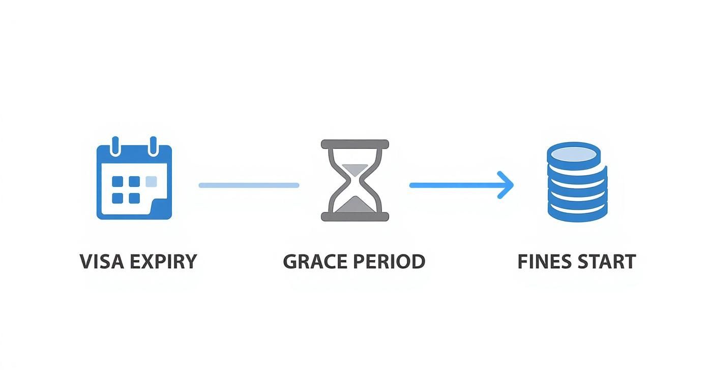 Flowchart illustrating the process from visa expiry through a grace period until fines begin, with respective icons.