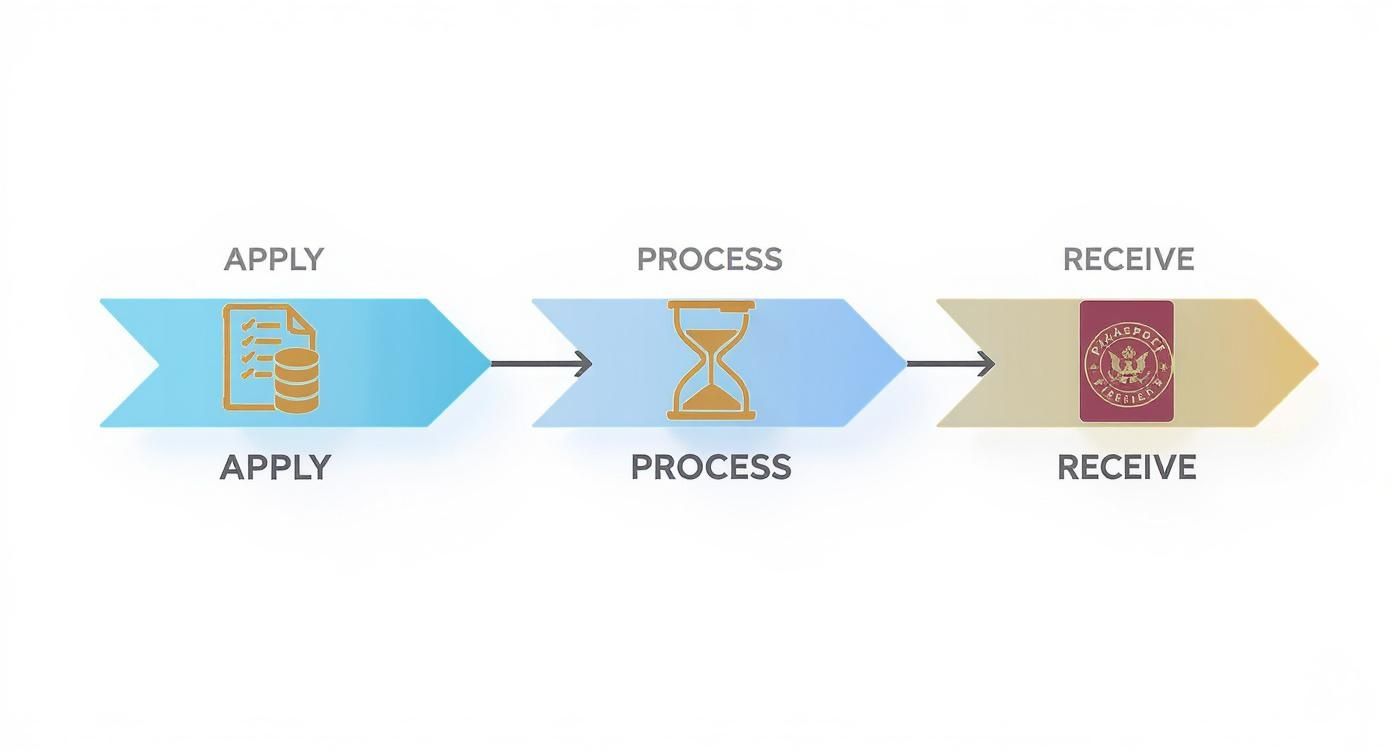 Graphic illustrating a three-step process for passport application: apply, process, and receive.