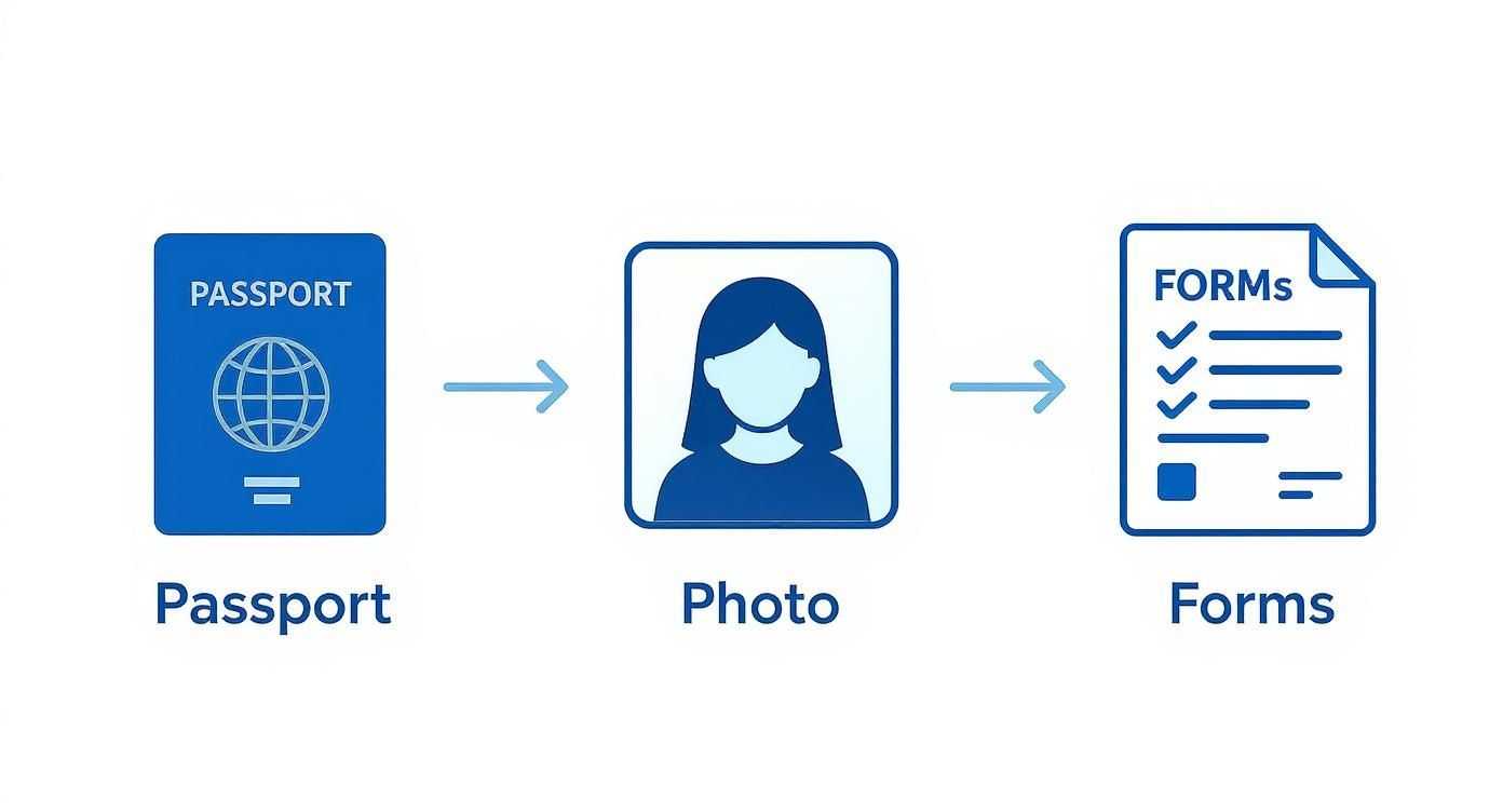 Three blue icons illustrating a process: a passport, a person's photo, and application forms.