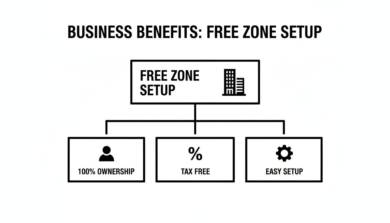 Diagram illustrating the business benefits of free zone setup: 100% ownership, tax-free, and easy setup.