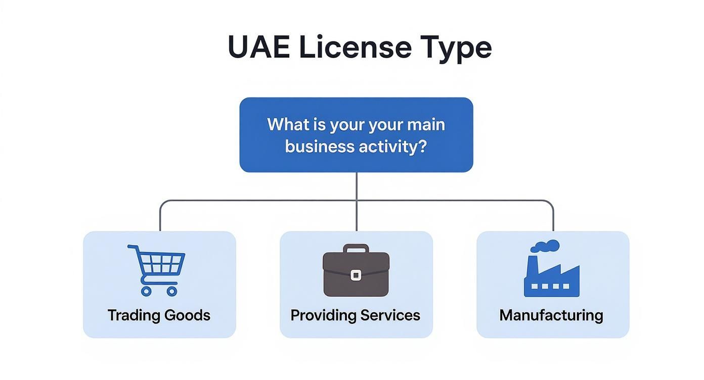 Flowchart illustrating UAE license types, asking about the main business activity: trading goods, services, or manufacturing.