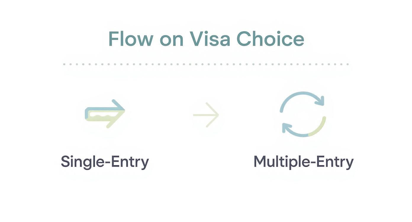 Flow on Visa Choice diagram illustrating two options: Single-Entry visa with an arrow, and Multiple-Entry visa with a circular arrow.