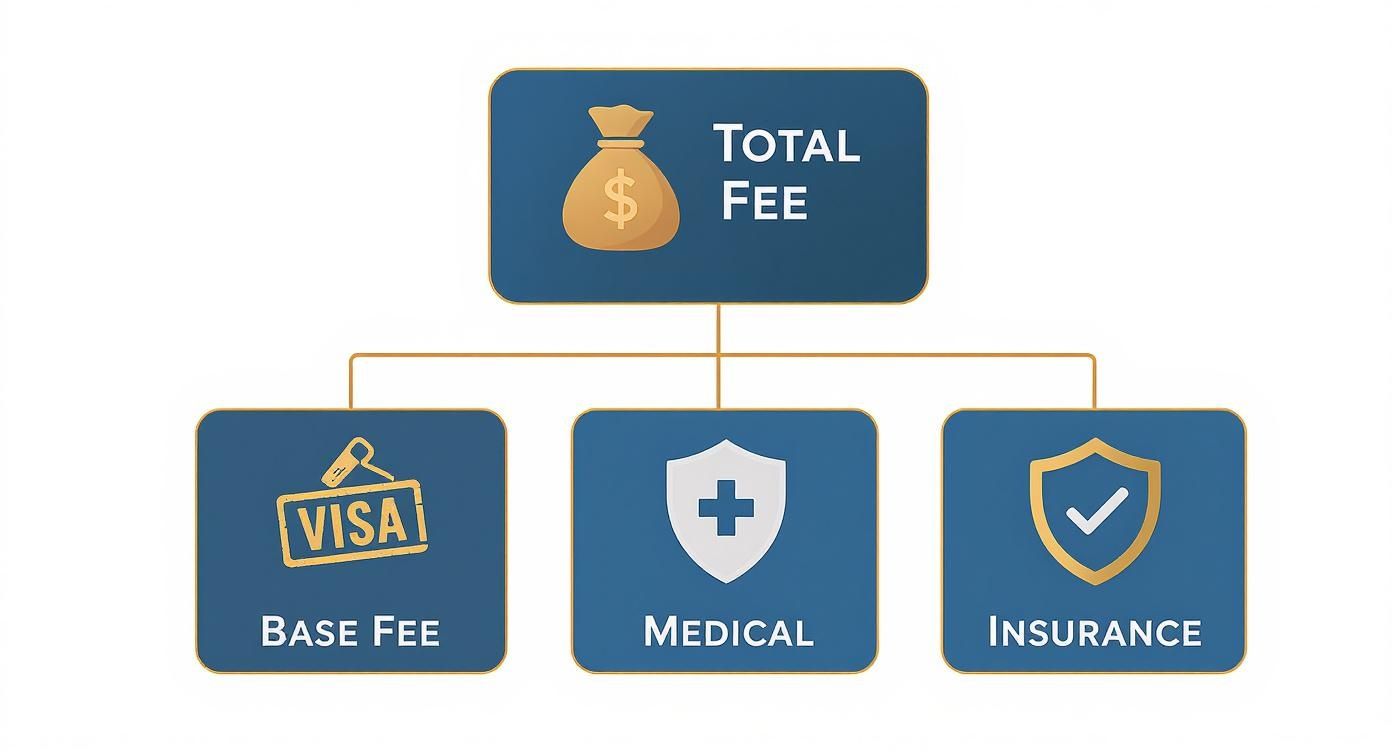 Infographic about visa renewal fee
