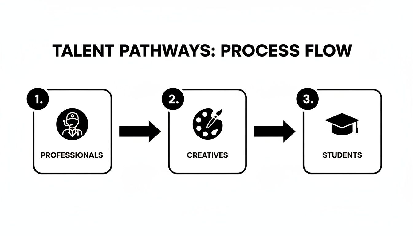 A flowchart illustrates talent pathways: Professionals lead to Creatives, who lead to Students.
