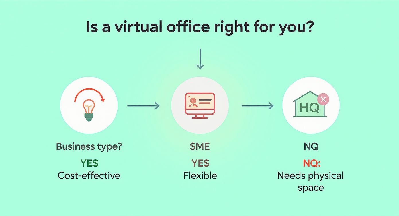 Infographic about virtual office dubai