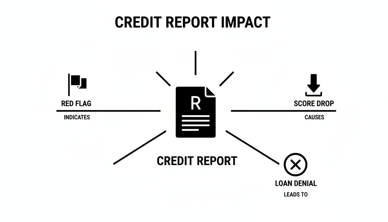 Diagram illustrating the impact of a credit report, showing red flags, score drops, and loan denial.