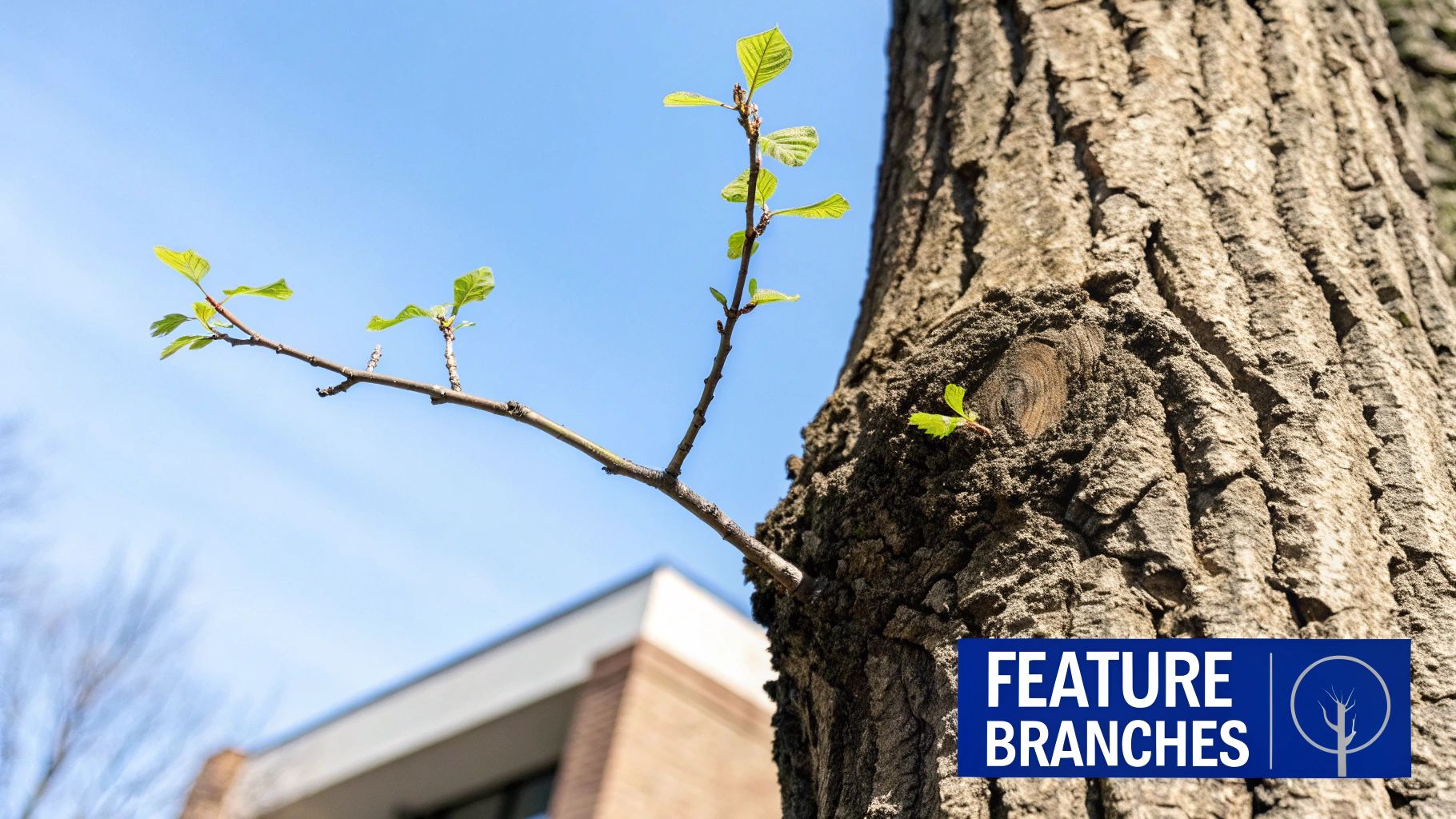 New spring leaves sprout from a tree branch and trunk under a clear blue sky.