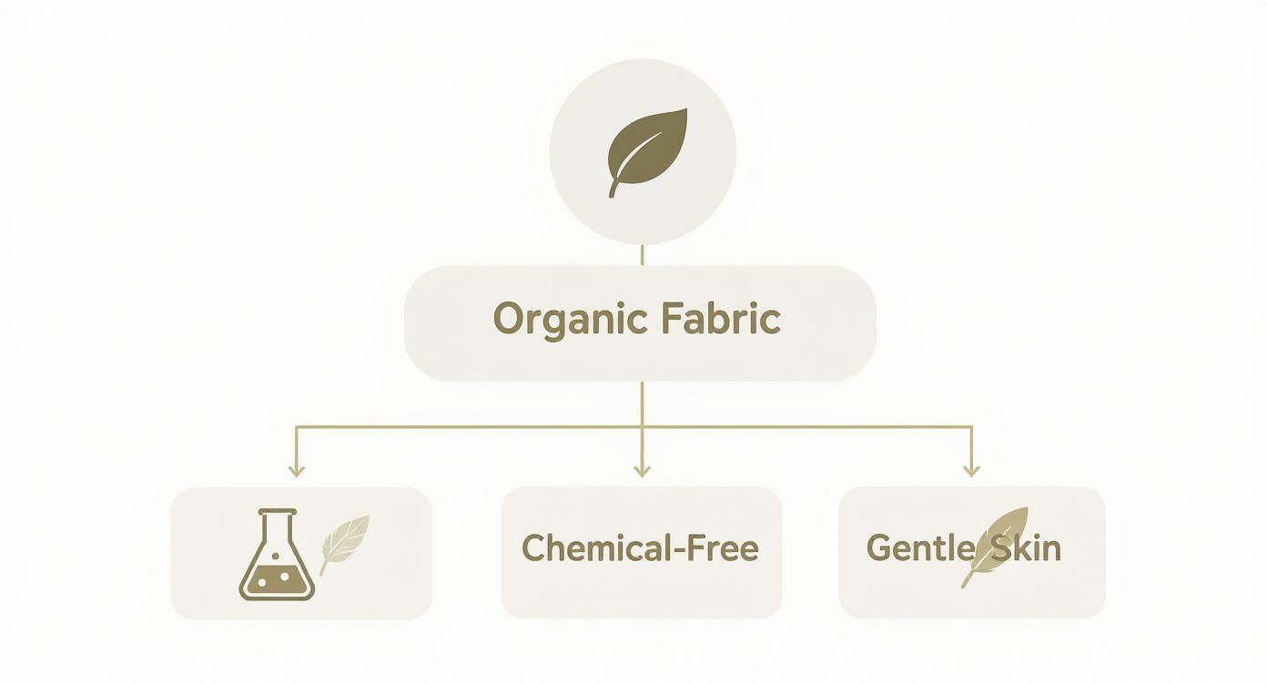 Diagram illustrating organic fabric properties: chemical-free, gentle on skin, and natural processing with a leaf icon.