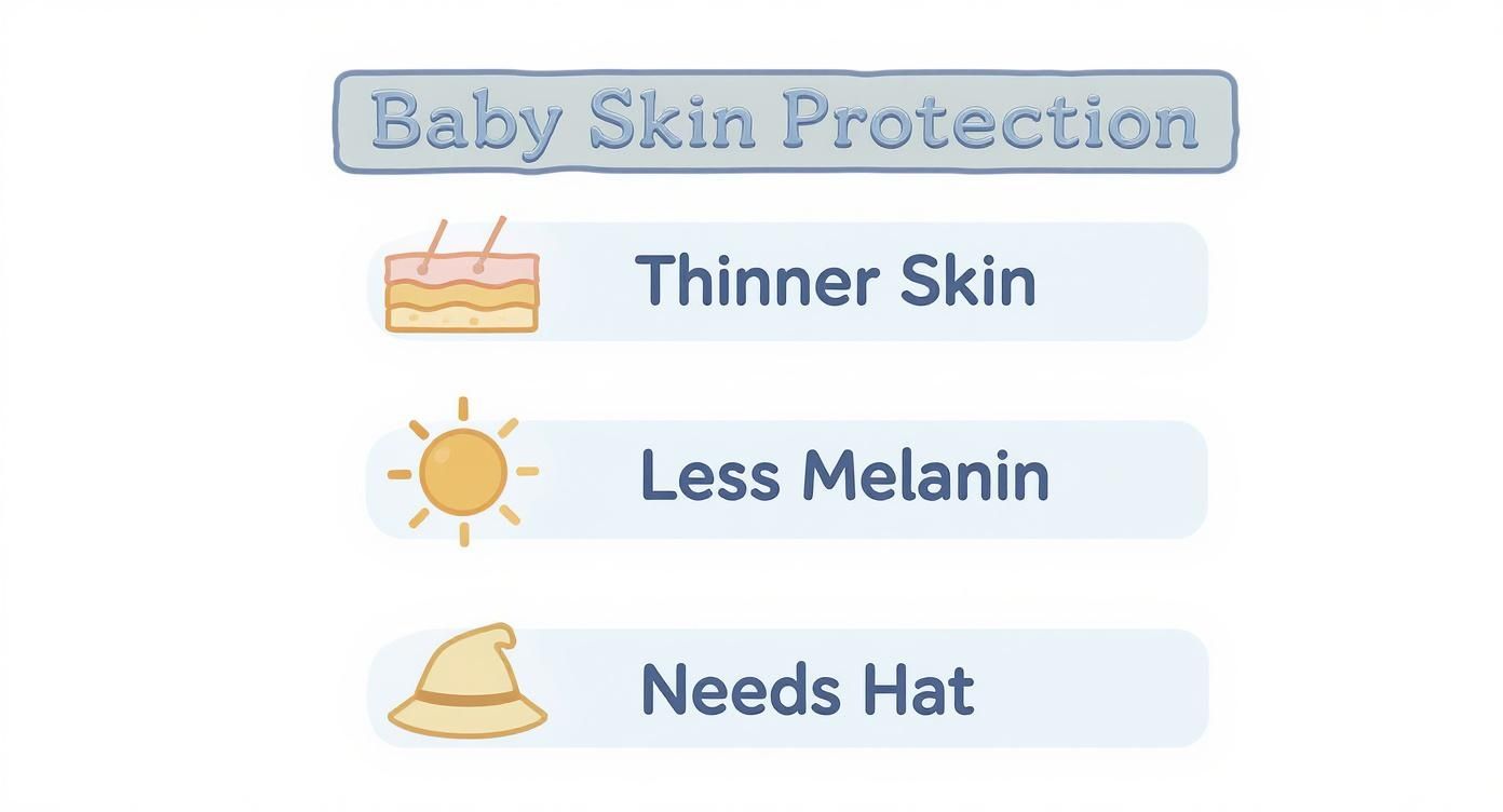 Infographic explaining baby skin protection, highlighting thinner skin, less melanin, and the need for a hat.