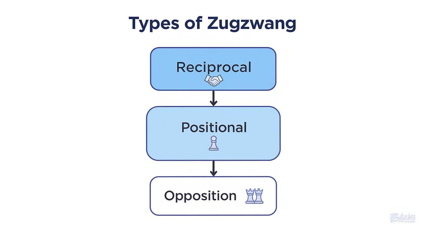 Infographic about zugzwang in chess