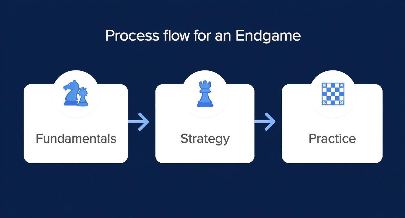 An infographic showing the process flow of endgame study, starting with fundamentals, moving to strategy, and finishing with practice.
