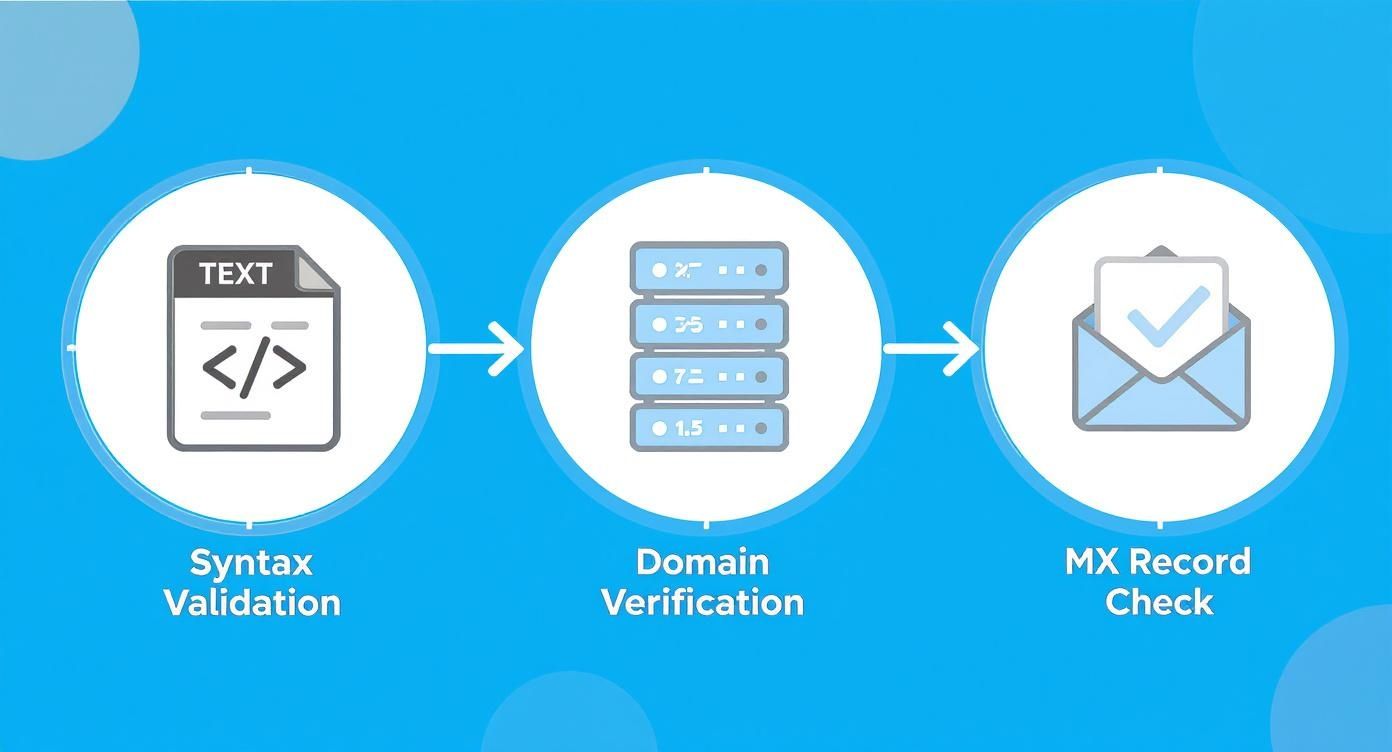 Email verification process showing syntax validation, domain verification, and MX record check stages